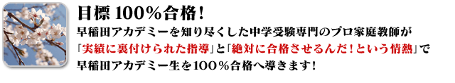早稲田アカデミーを知り尽くした中学受験専門のプロ家庭教師が「実績に裏付けられた指導」と「絶対に合格させるんだ!という情熱」で早稲田アカデミー生を100%合格へ導きます!
