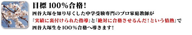 四谷大塚を知り尽くした中学受験専門のプロ家庭教師が「実績に裏付けられた指導」と「絶対に合格させるんだ!という情熱」で四谷大塚生を100%合格へ導きます!